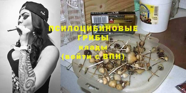 крисы Беломорск