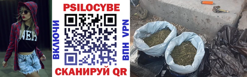 Галлюциногенные грибы прущие грибы  как найти наркотики  Кузнецк 